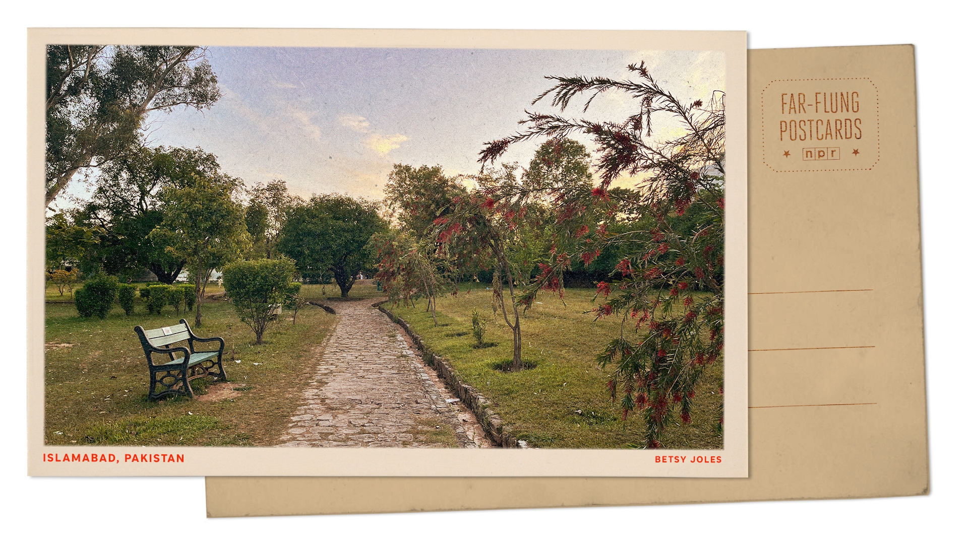 Greetings from an Islamabad park, a peaceful vantage point in an uncertain world